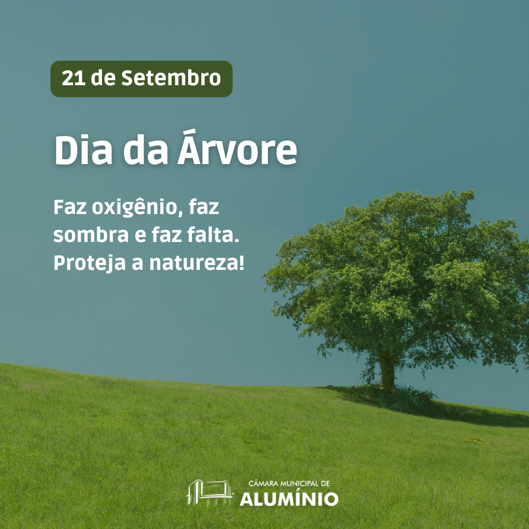 Imagem da notícia: 21 DE SETEMBRO - DIA DA ÁRVORE